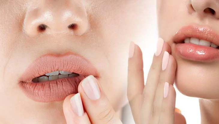 Kuruyan ve solgun dudaklara doğal destek! Evde gül yapraklı lipbalm