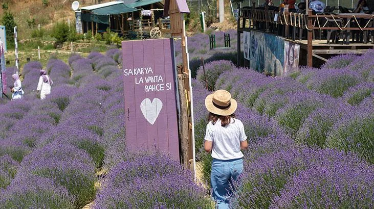 Türkiye Kültür Yolu Festivali'nin yeni durağı Sakarya